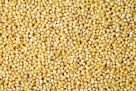 米粒谷物背景图片