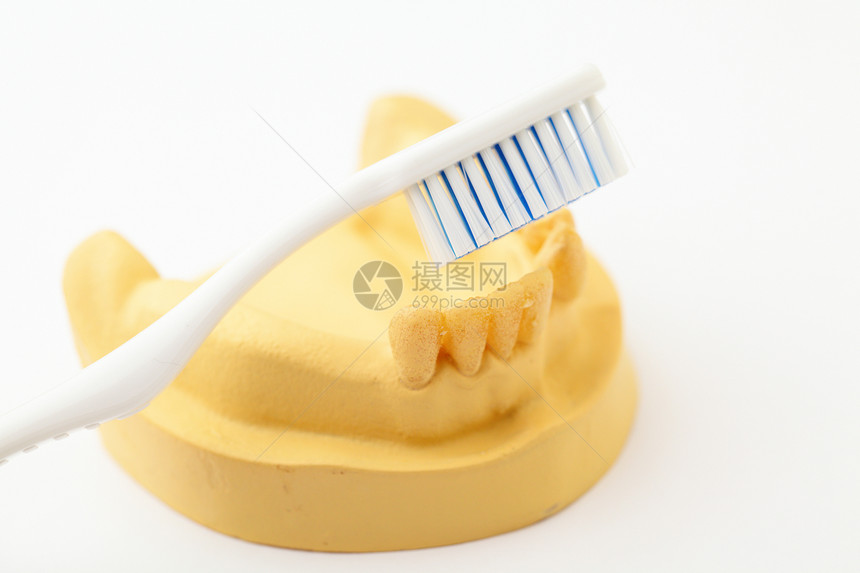 假牙和牙刷医生保健假体口服卫生矫正假肢牙齿白色健康图片