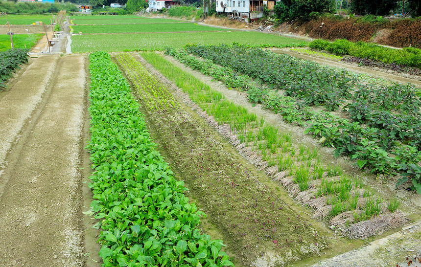 农用农场和农产品草地收成乡村种子土壤农业生产领域生长农田图片