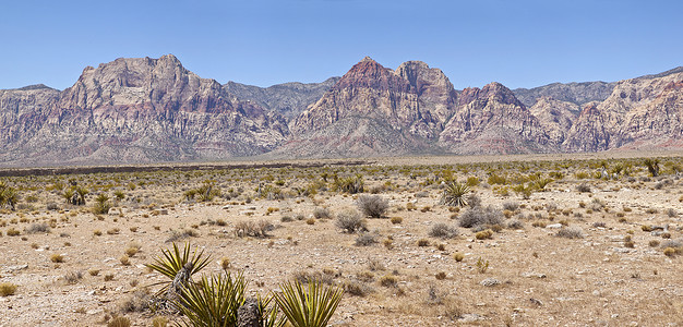 内华达州红岩峡谷全景旅游岩石动物群植物植物群荒野山脉沙漠旅行周长背景图片