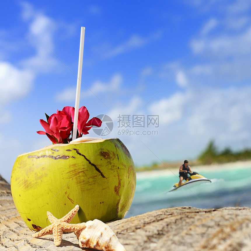 海滩上的椰子假期旅游晴天茶点可可情调棕榈阳光异国坚果图片