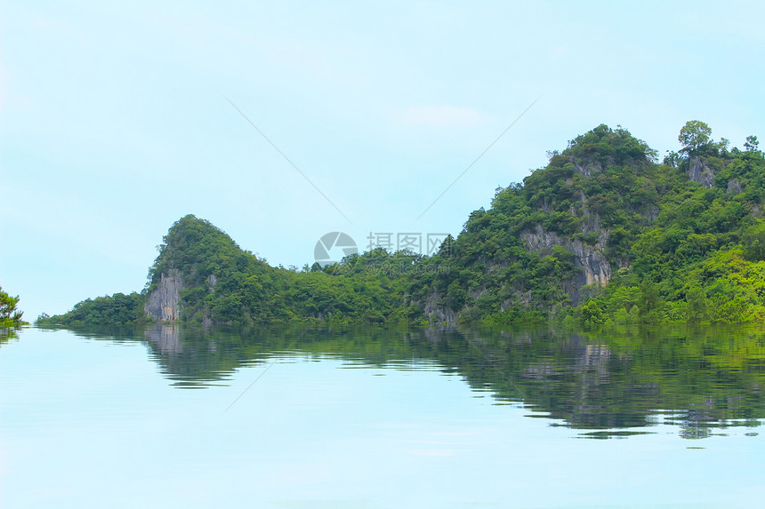 松林林地平线热带叶子天空场景环境木头荒野草地全景图片