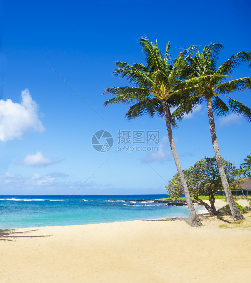 夏威夷沙滩上的棕榈树热带风景蓝天海景假期气候阳光蓝色旅游情调图片