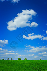 字段和天空活力天气场景牧场风景蓝色季节乡村土地场地高清图片