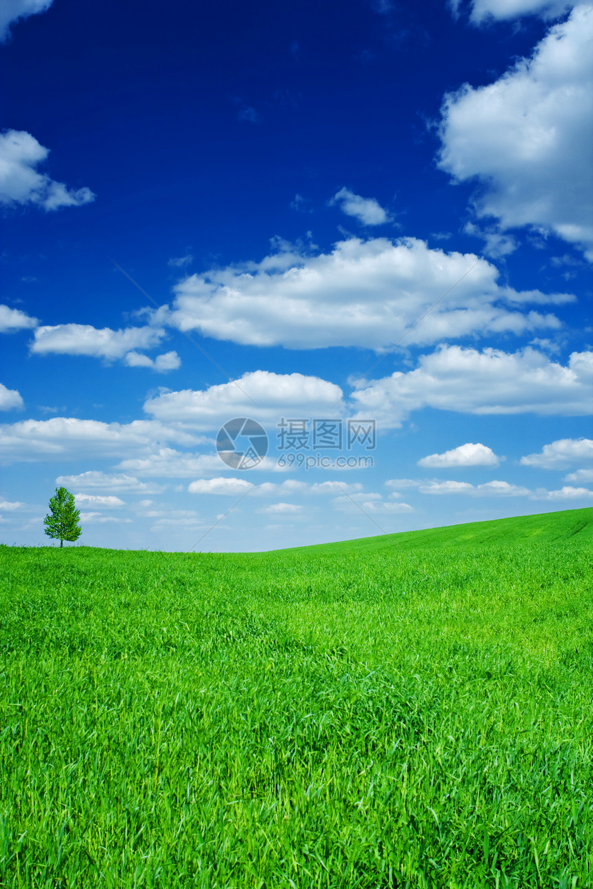 字段和天空场景活力牧场蓝色地平线季节场地阳光风景乡村图片