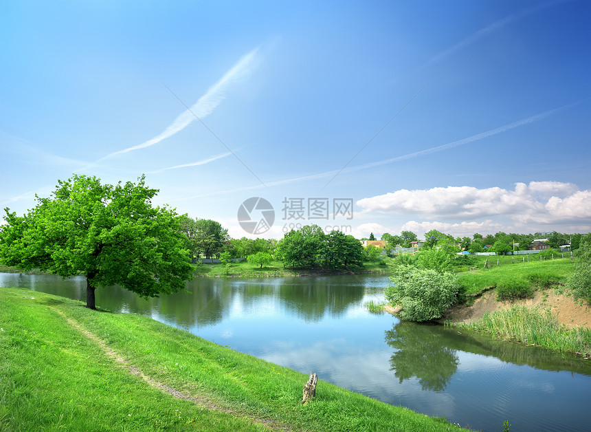 与河流相伴的春天风景色彩花园爬坡树木草地太阳池塘日出土地阳光图片