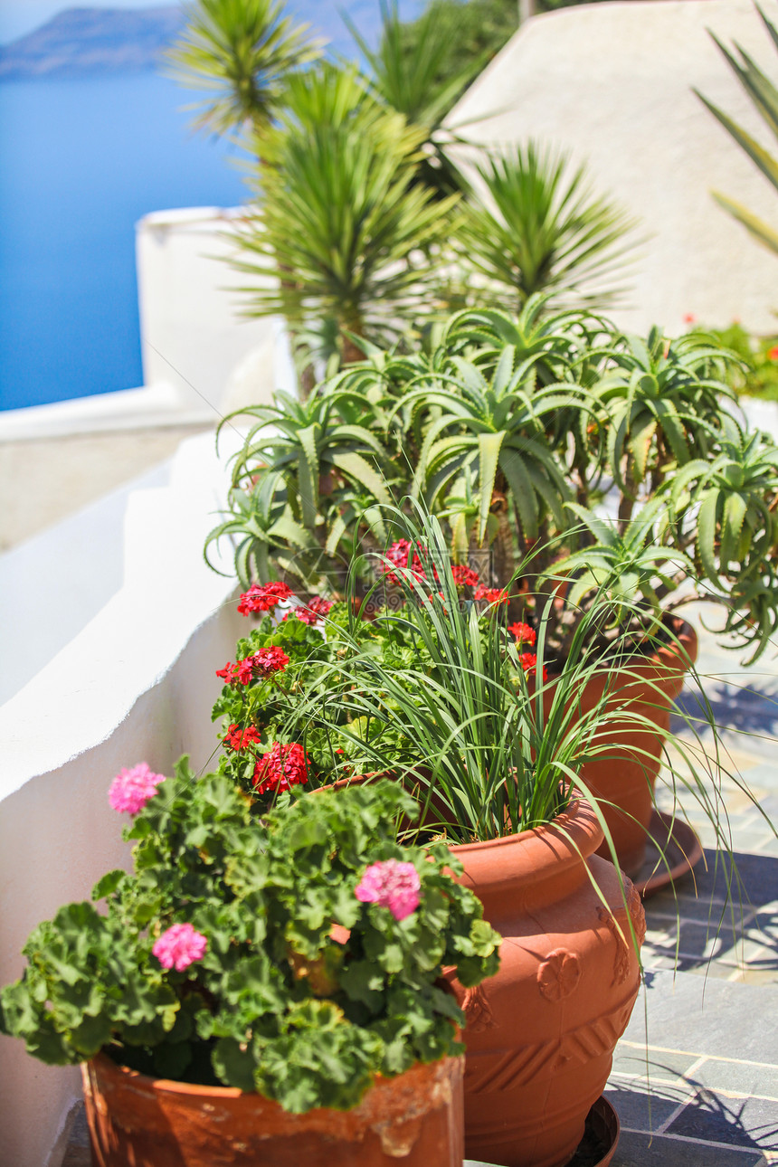 希腊街头传统花盆中的传统花朵植物岛屿文化花瓶建筑学阳台房子建筑石头衬套图片