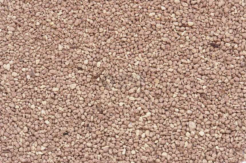 塔哈纳脉冲白色手工扁豆种子粮食收成农业食物营养图片