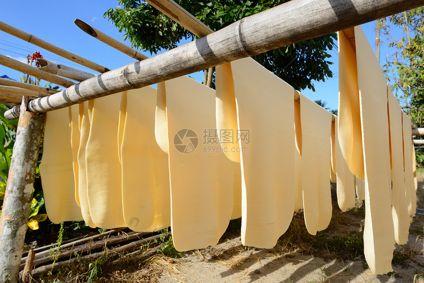 橡胶皮竹子乳胶橡皮段落木材床单种植园产品生产黄色图片