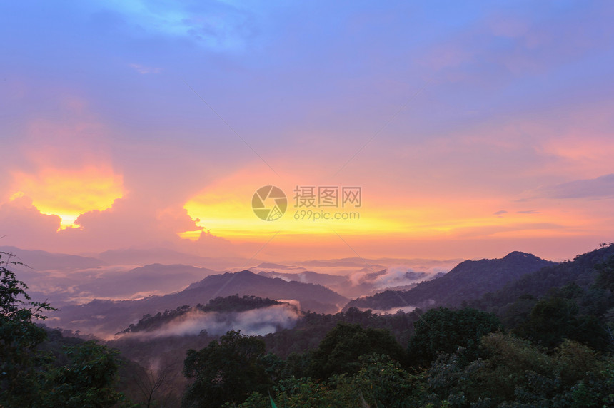 森林地貌上的美丽的夕阳光束图片