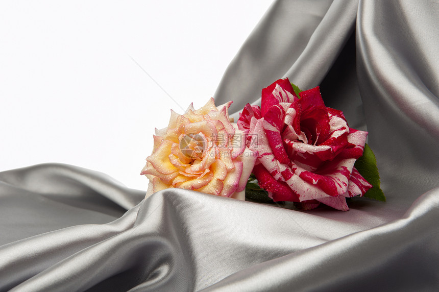 装饰背景结构材料布料花朵墙纸波浪状衣服窗帘白色热情海浪图片