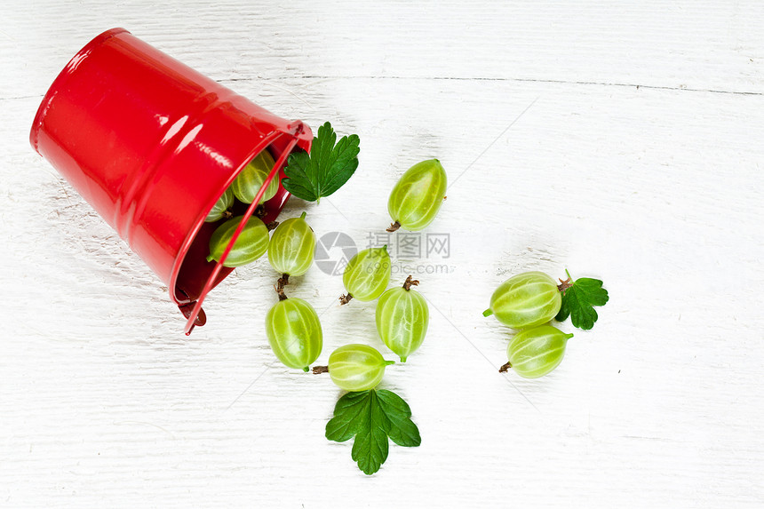 金属桶中的绿鹅莓甜点种子桌子绿色水果养分健康阴影红色茶点图片