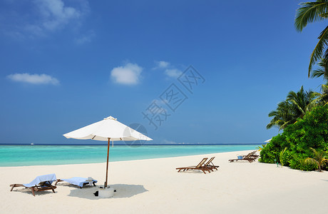 马尔代夫美丽的沙滩椅子旅行天空异国奢华躺椅蓝色阳伞海岸线海洋背景图片