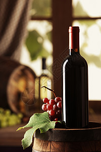 红酒地窖风光瓶子树叶酒精饮食静物田园叶子酒瓶背景图片