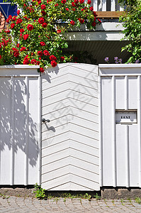 玫瑰园白色玫瑰国家房子框架街道建筑学粉色乡村花朵高清图片