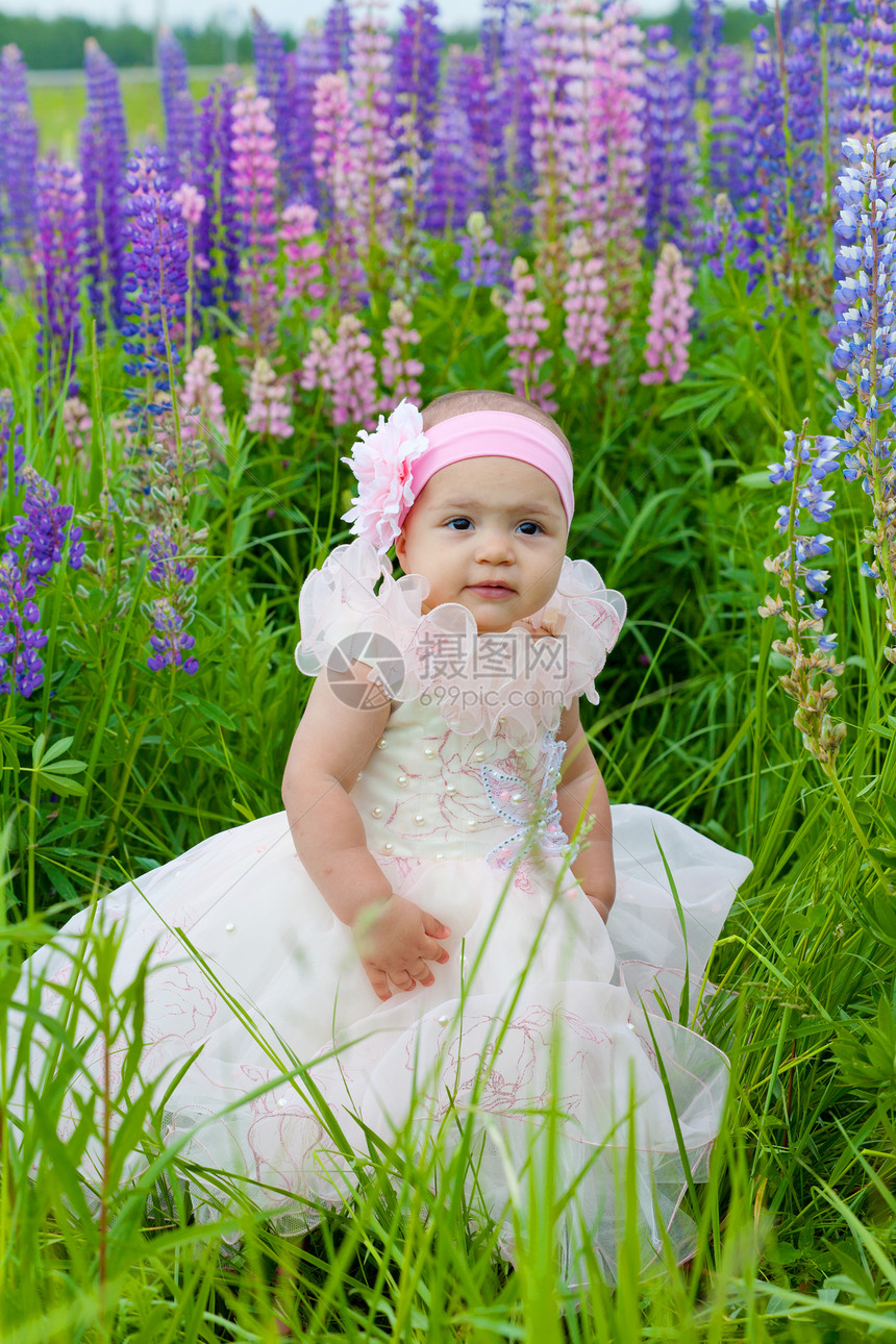 穿着优雅裙子的小女孩坐在草地上紫色植物花朵场地公园日光婴儿孩子图片