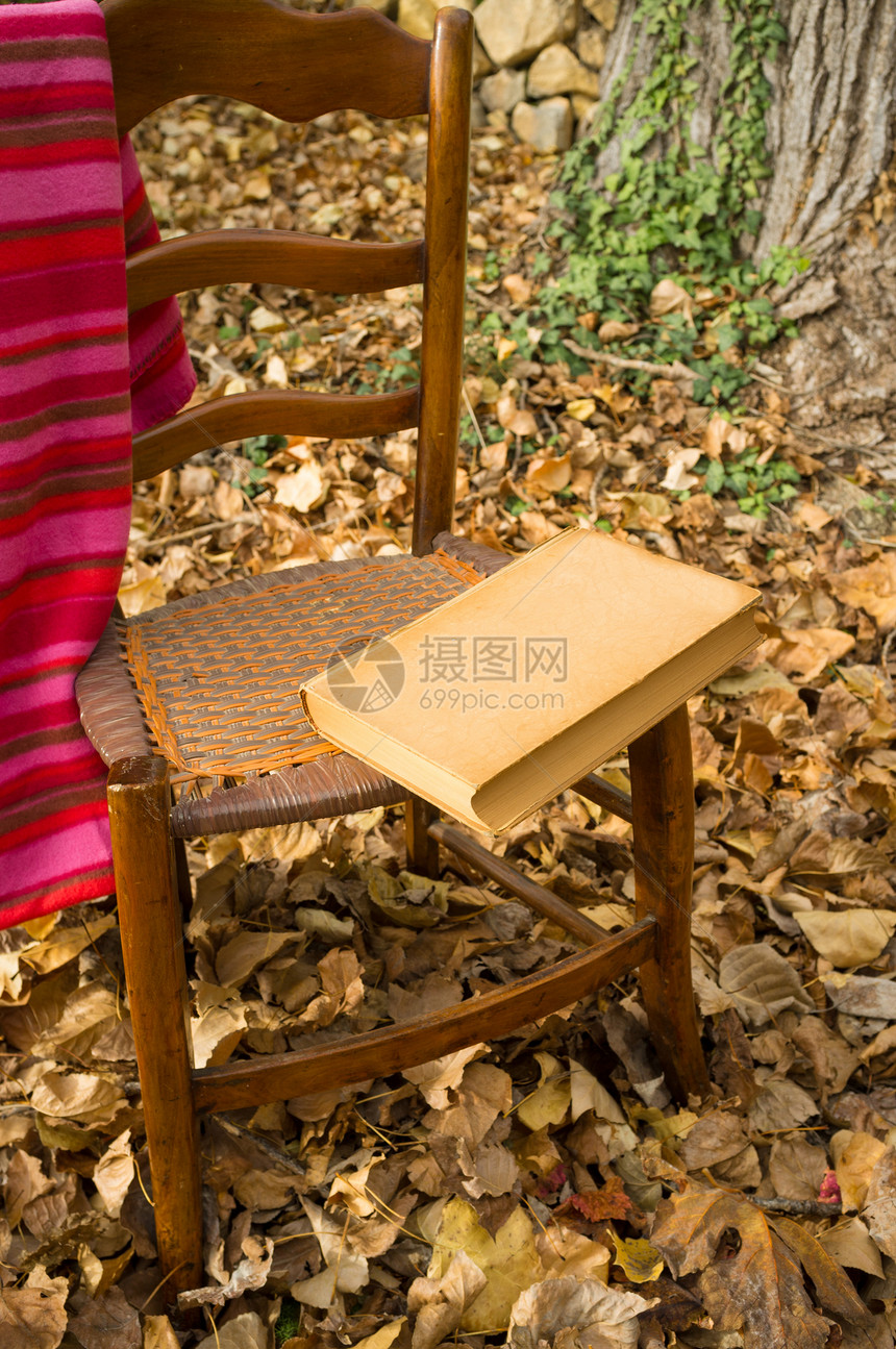 秋余生学习知识分子椅子阅读小说树叶怀旧精装书静物毯子图片