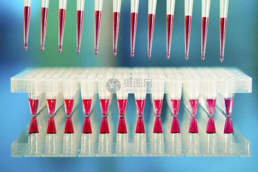 PCR DNA放大工具 96口径板和自动生物dna癌症微管宏观化验亲子剪辑样本塑料图片
