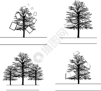树设计套件插图植物生物学教育知识学习背景图片