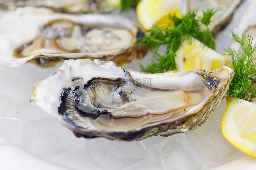 含柠檬和的牡蛎食物美食午餐草本植物营养熟食壳类盘子餐厅海鲜图片