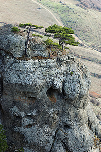 德米尔吉岩石的松树 乌克兰克里米亚Ghost山谷高清图片