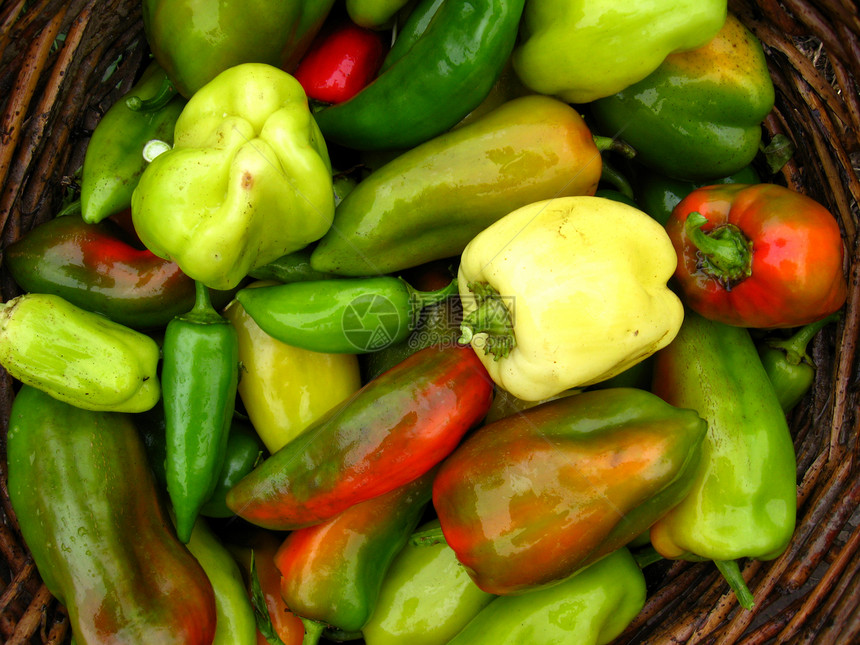 多色胡椒保加利亚胡椒作物黄色厨房蔬菜杂货生活营养绿色收成辣椒红色图片