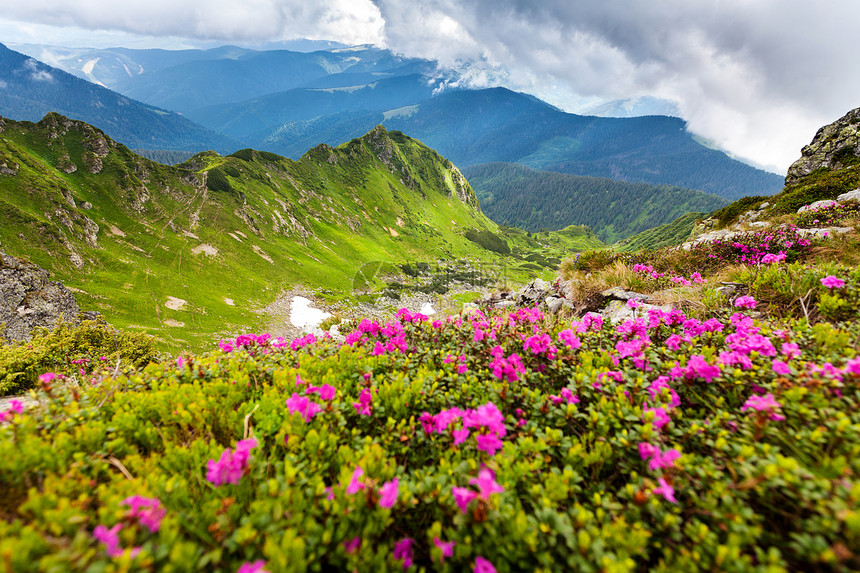 喀尔巴山山脉远足云杉爬坡高地场景山链环境衬套花瓣松树图片