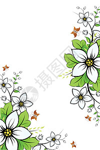 鲜花框架插图水平艺术创造力标语蝴蝶季节漩涡白色作品背景图片