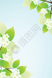 树叶和花花艺术花朵框架蓝色绿色花瓣白色背景图片