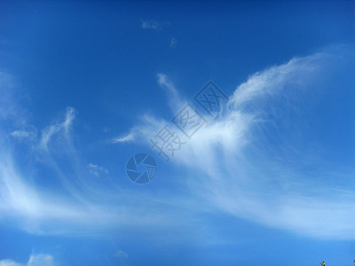 白云喜欢鸟背景蓝天风景天空蓝色材料背景图片