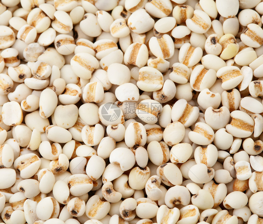 可可种子闭合宏观营养求职者珍珠眼泪谷物维生素大麦矿物质粮食图片