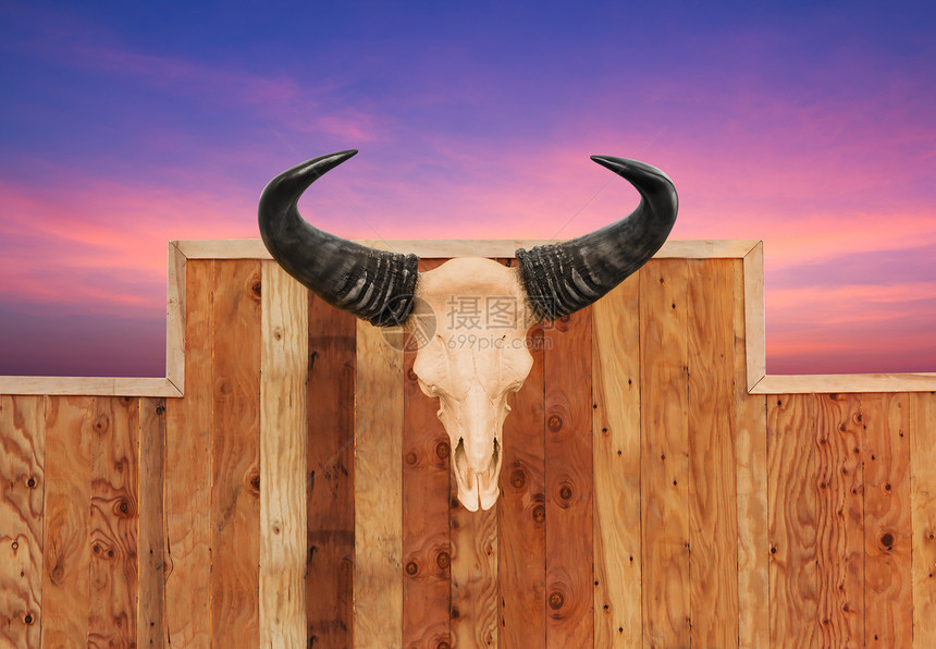 牛挂在墙上猎人奶牛动物园架子喇叭鹿角水牛舌头天空牛仔图片