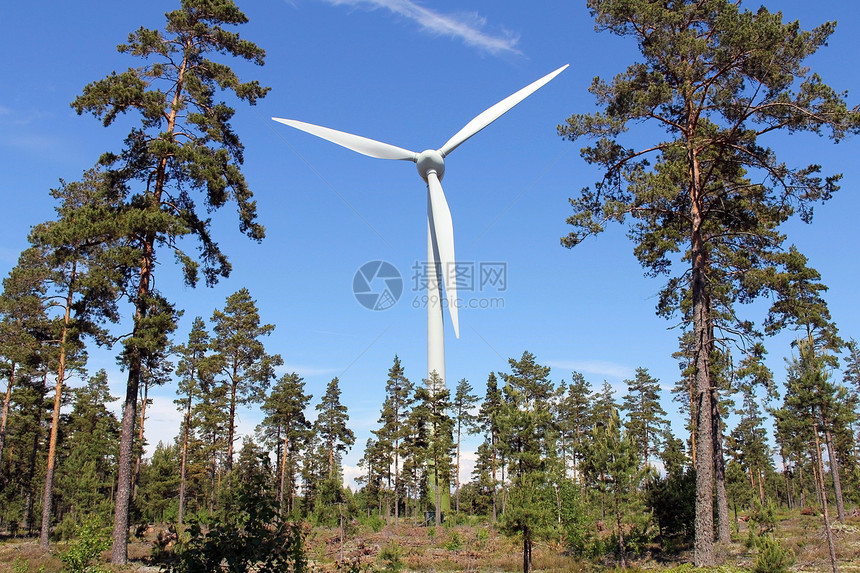 松林的风力涡轮翅膀技术农场蓝色创新活力天空力量植物松树图片
