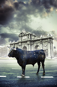 阿尔卡拉门的疯狂 斗牛的概念 公牛 西班牙耳朵高清图片素材