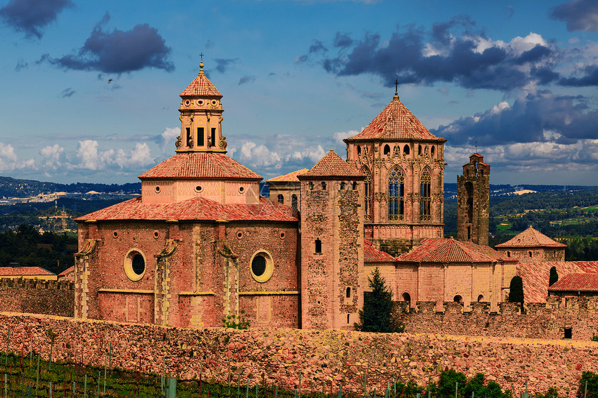 西班牙圣玛丽亚德波波特修道院地标建筑大教堂葡萄园石头森林山脉历史遗产旅行图片