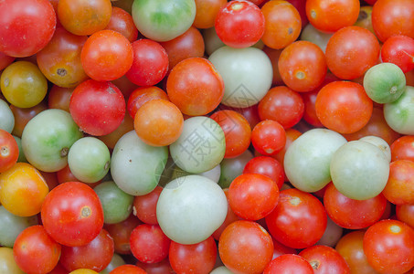 彩色番茄活力有机食品食物红色绿色黄色蔬菜背景图片