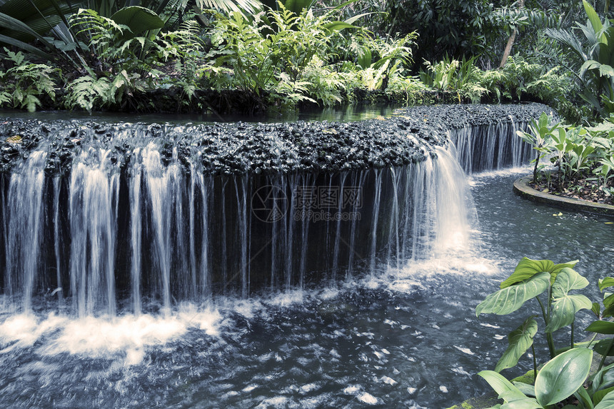 水级联花园叶子热带环境植物绿色雨林海浪溪流图片