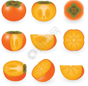 Persimmon 双环西蒙小吃食物互联网艺术水果叶子菜单纽扣热带果实背景图片