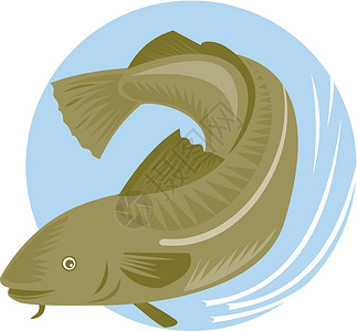 大西洋鳕鱼回流插图艺术品背景图片