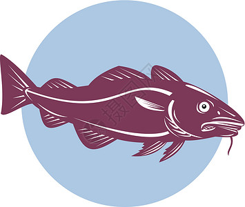 大西洋鳕鱼回流艺术品插图背景图片