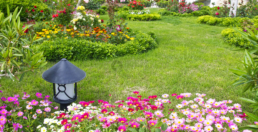 鲜花床植物学生长季节植物院子风景紫丁香花园玫瑰灯笼图片