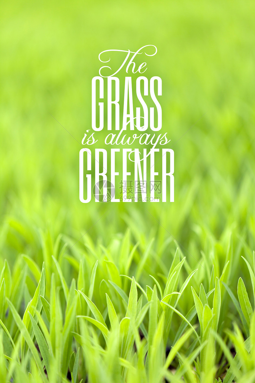草是总是绿色的引号图片