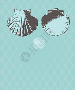 矢量纳图卢斯生长场景螺旋软体贝壳生活情调漩涡异国化石背景图片