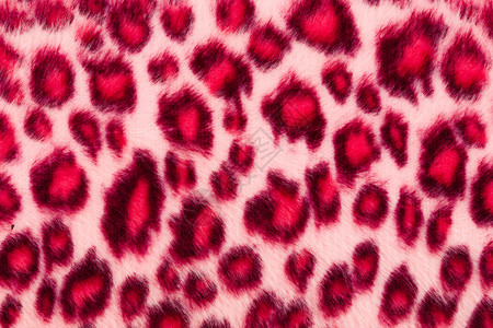 粉红色印刷的豹子贴近背景图片