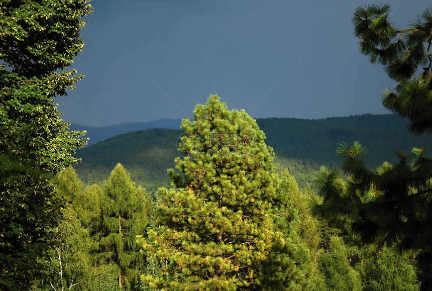夏季风暴太阳森林晴天天气日落农村荒野国家农场蓝色图片