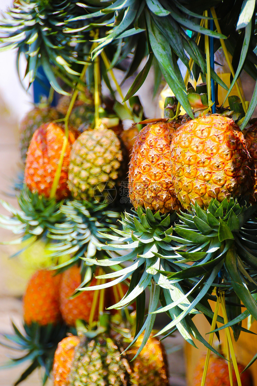 印度尼西亚爪哇的Ripe 蜂蜜菠萝图片