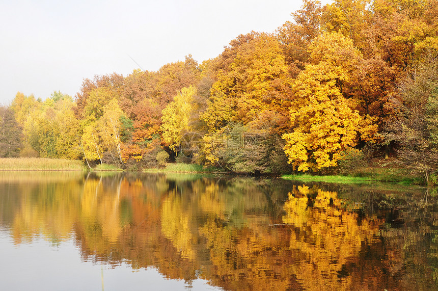 秋季湖场景公园树木风景池塘支撑森林天空荒野镜子图片