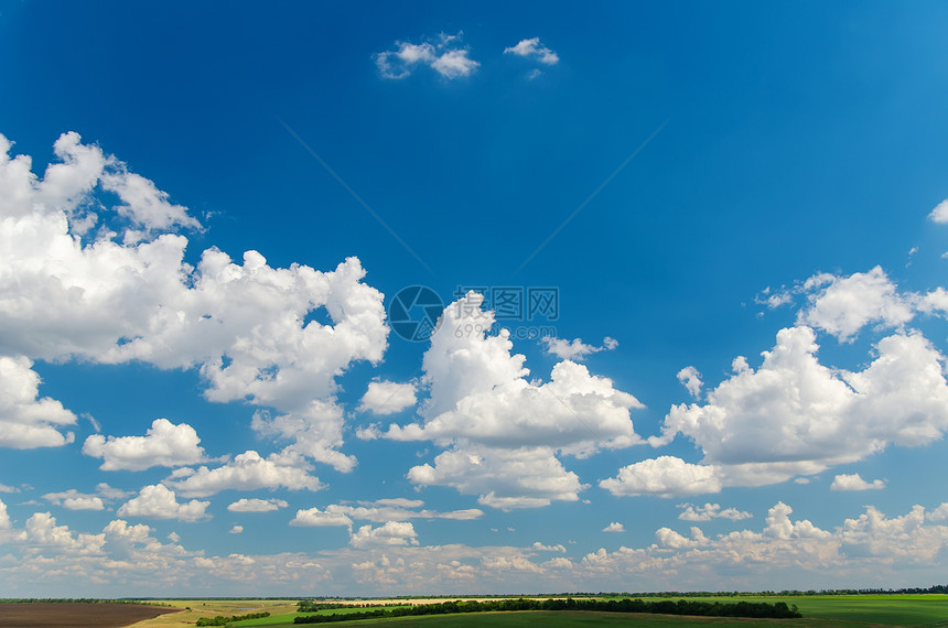 绿地上的云天图片