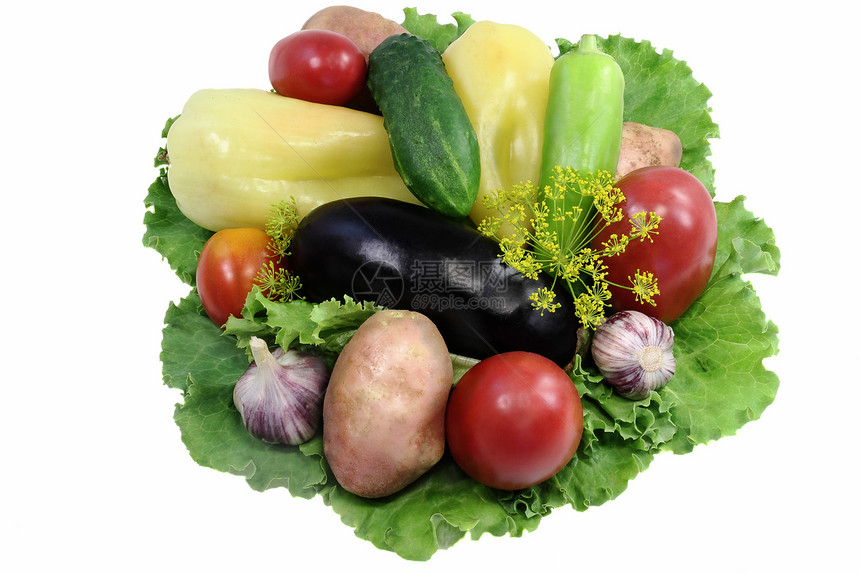 各种蔬菜和沙拉 在白色的草原上赠送种植黄瓜烹饪零食公用事业食物团体饮食维生素农业图片