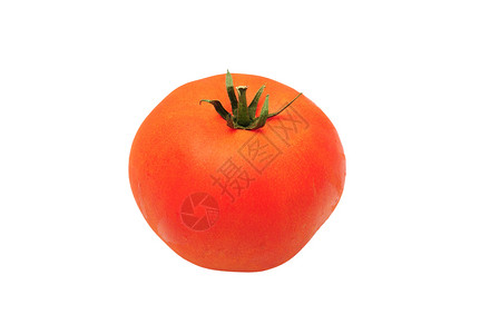 白色的孤立西红柿背景图片